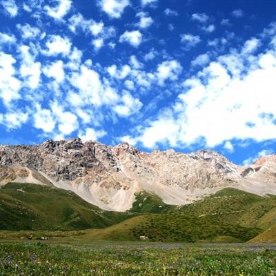 内蒙古旅游发展大会召开 草原游“种草”国内外游客
